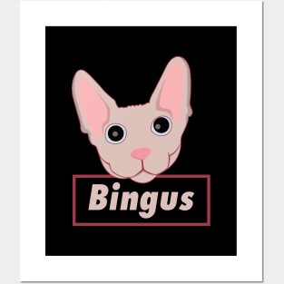 Bingus Cat Posters and Art